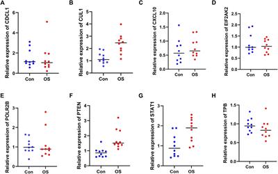 Identification of hub genes associated with osteoporosis development by comprehensive bioinformatics analysis